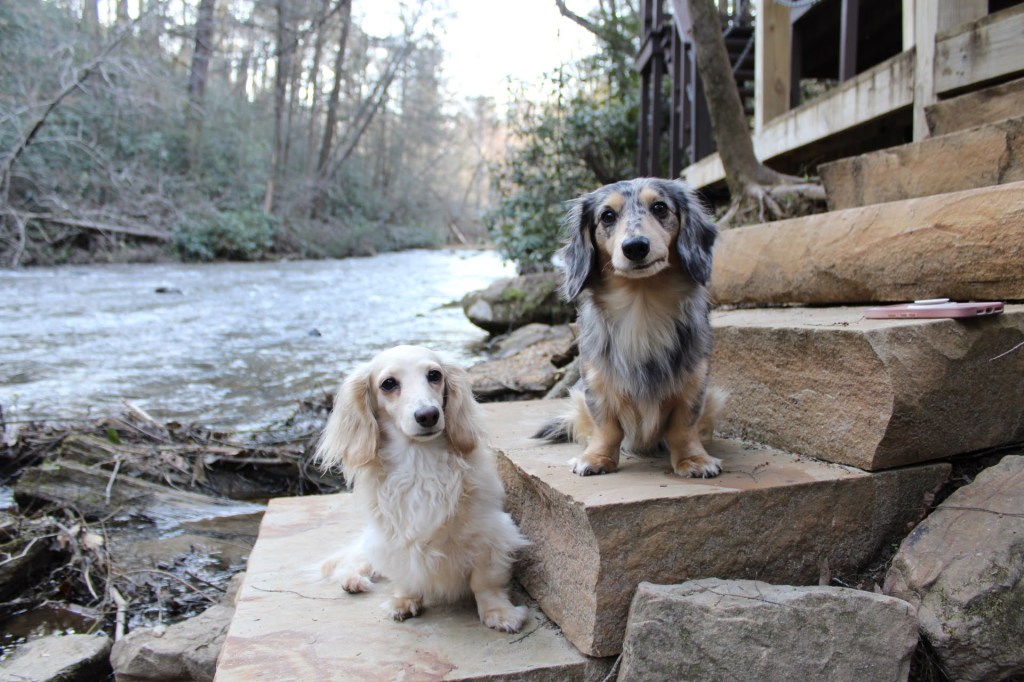 Blue Ridge Getaway with Lenny & Lexie&nbsp;🐾
